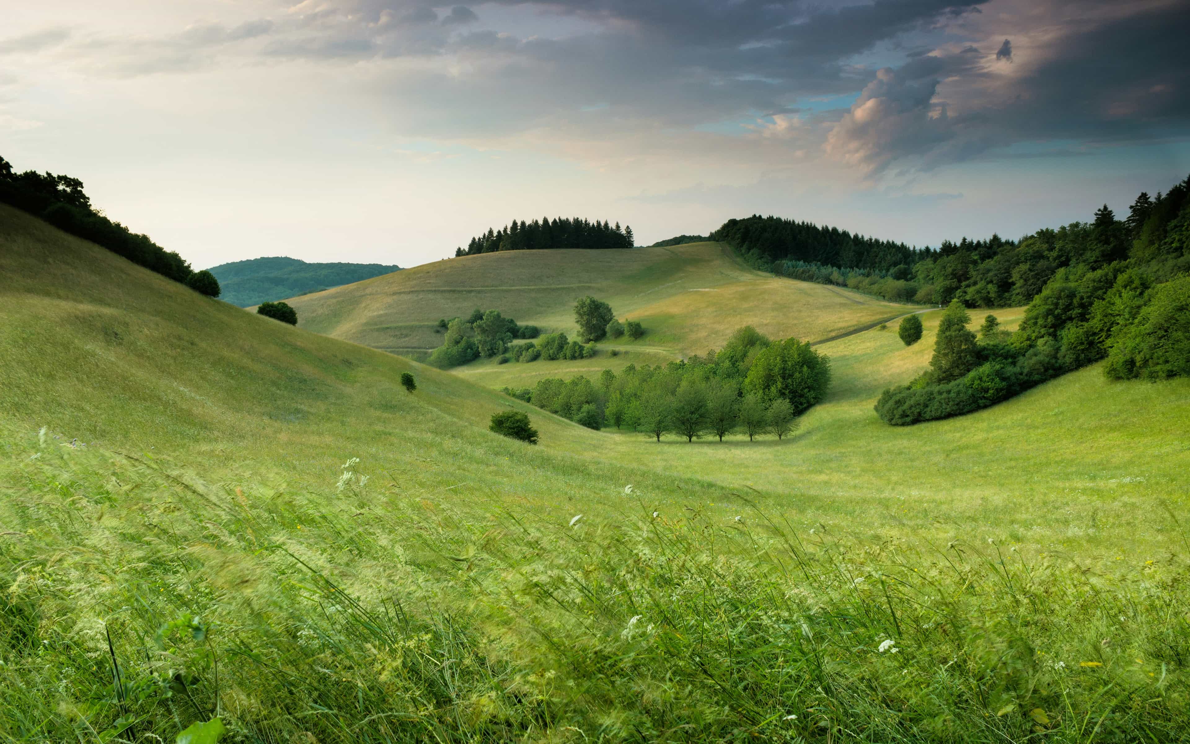 Great News Background